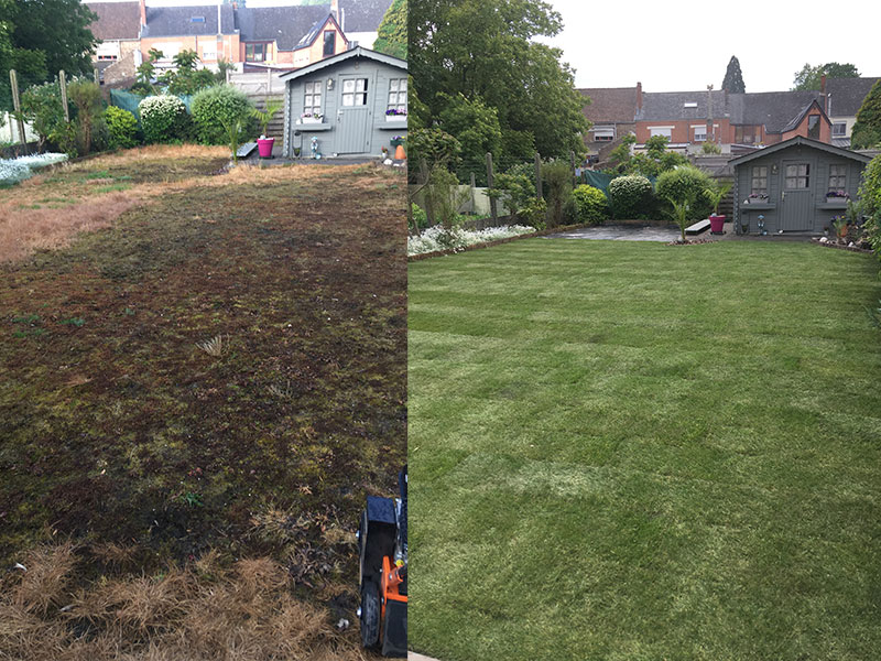 02_Pelouse_Amenagement_jardin_entree_DBA_Parcs_et_Jardins_Andy_Debacker_Cloture_Terrassement_Abattage_Elagage_Jardins_Belgique_hainaut_leuze_Tournai_mons